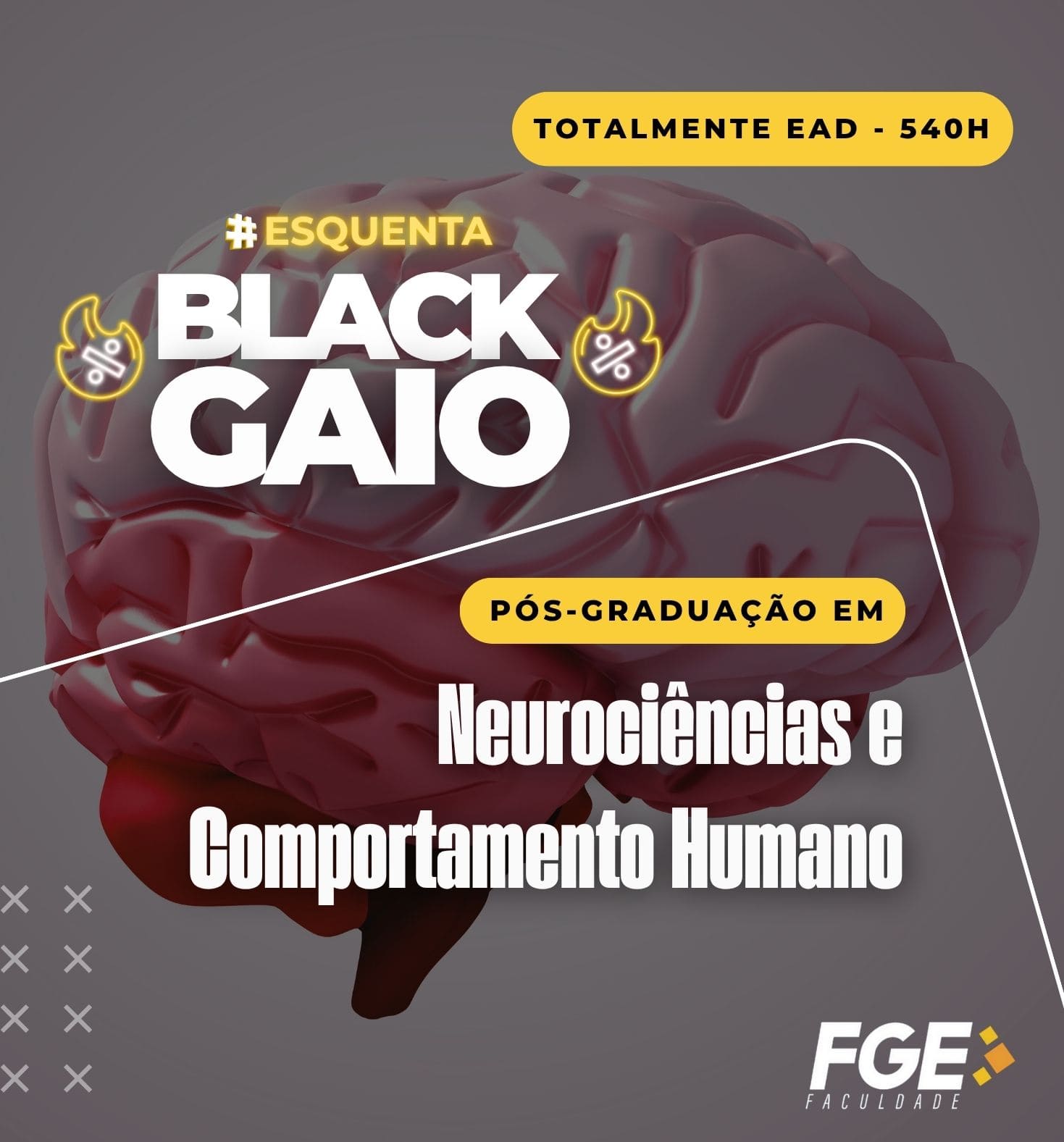 BLACK FRIDAY: Pós-Graduação em Neurociências e Comportamento Humano 540h