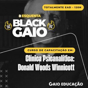 clinica-psicanalitica-donald-woods-winnicott-120h